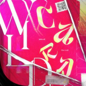 雷狮顶安迷修的生育
