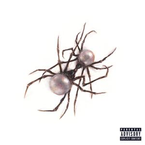 雷狮顶安迷修的生育
