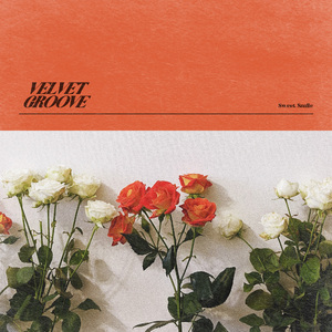 雷狮顶安迷修的生育
